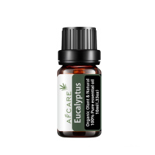 Etiqueta privada 100% aceite esencial de eucalipto natural para aceite de masaje natural en aerosol de perfume